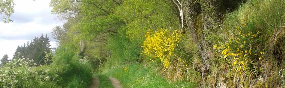 chemin-des-fayes